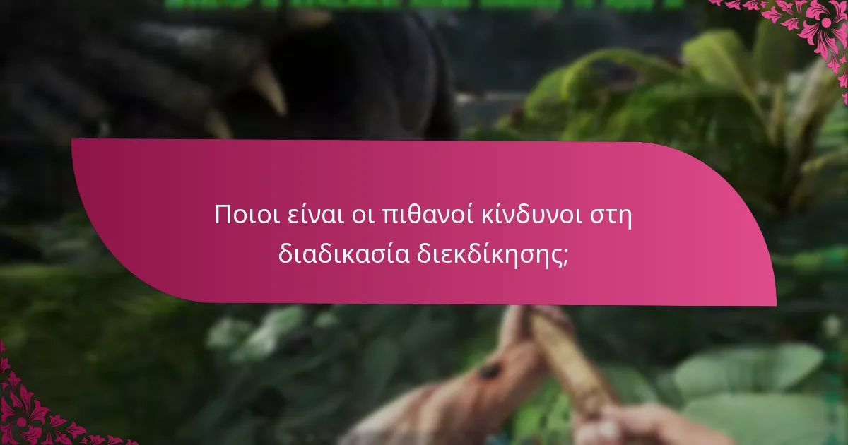 Ποιοι είναι οι πιθανοί κίνδυνοι στη διαδικασία διεκδίκησης;