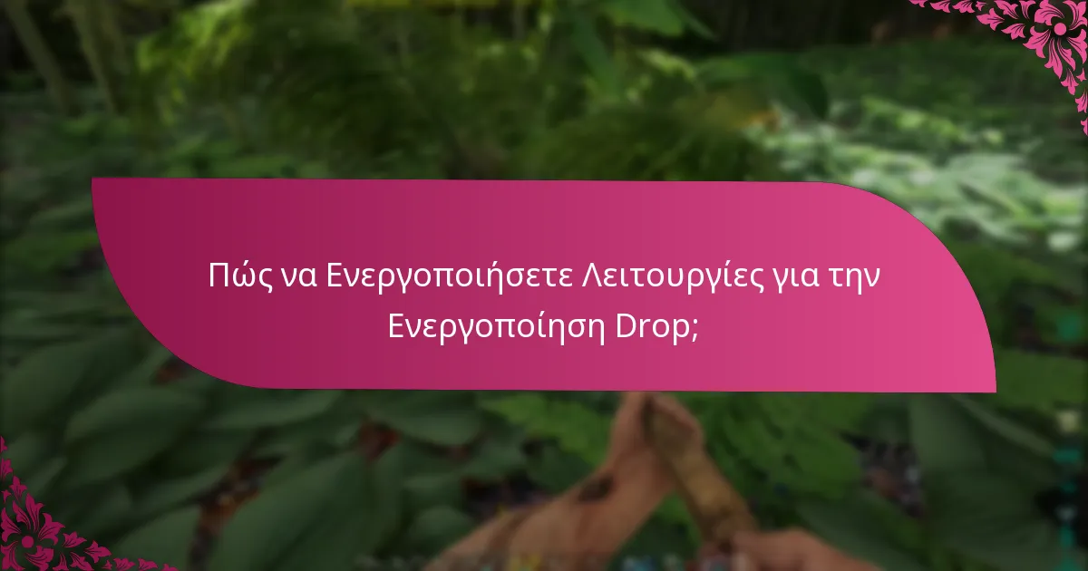 Ποια Κοινά Προβλήματα Εμφανίζονται Κατά την Ενεργοποίηση Drop;